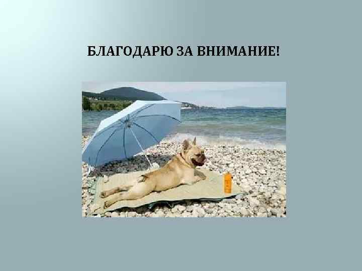 БЛАГОДАРЮ ЗА ВНИМАНИЕ! 