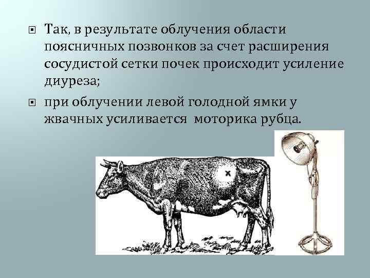  Так, в результате облучения области поясничных позвонков за счет расширения сосудистой сетки почек