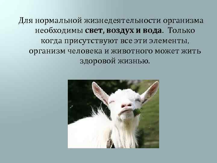  Для нормальной жизнедеятельности организма необходимы свет, воздух и вода. Только когда присутствуют все