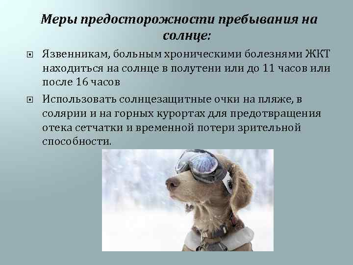 Меры предосторожности пребывания на солнце: Язвенникам, больным хроническими болезнями ЖКТ находиться на солнце в
