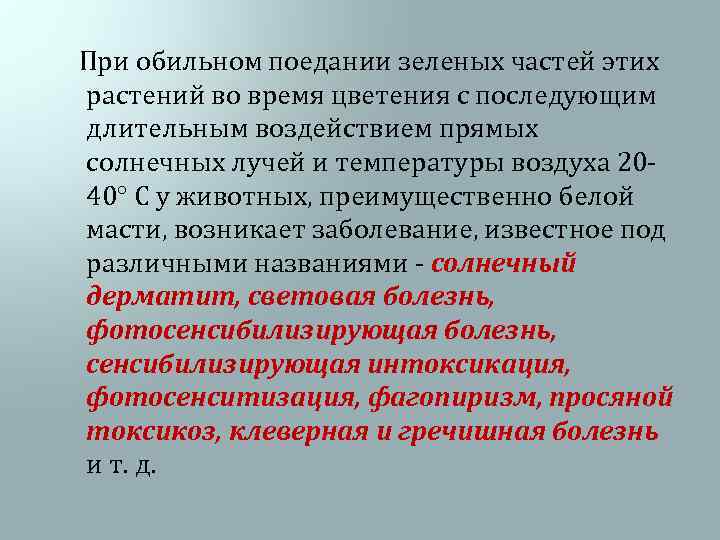  При обильном поедании зеленых частей этих растений во время цветения с последующим длительным