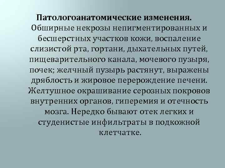 Патологоанатомические изменения. Обширные некрозы непигментированных и бесшерстных участков кожи, воспаление слизистой рта, гортани, дыхательных