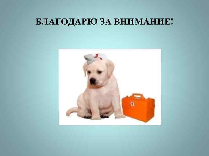 БЛАГОДАРЮ ЗА ВНИМАНИЕ! 