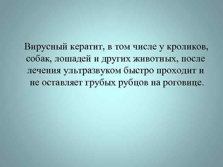  Вирусный кератит, в том числе у кроликов, собак, лошадей и других животных, после