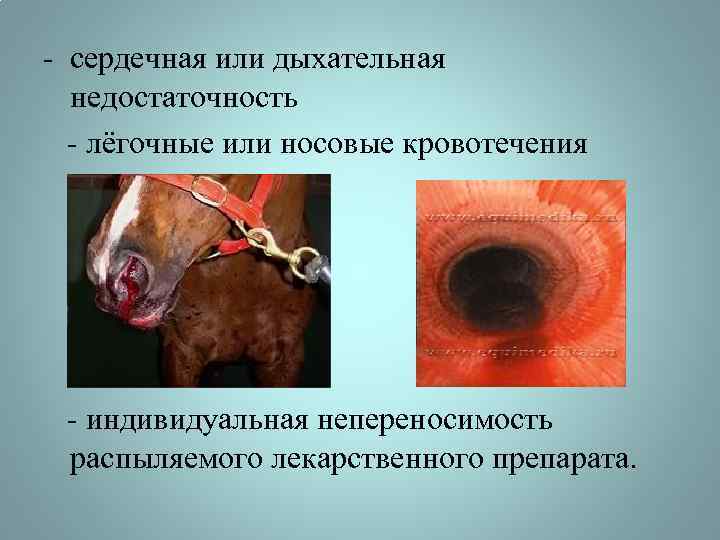 - сердечная или дыхательная недостаточность - лёгочные или носовые кровотечения - индивидуальная непереносимость распыляемого