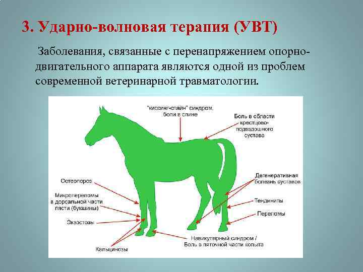 Ударная волна лечение. Ударно-волновая терапия механизм действия. Ударно-волновая терапия принцип действия. Ударно волновая терапия механизм воздействия. Принцип ударно-волновой терапии.