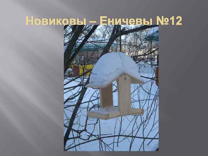 Новиковы – Еничевы № 12 