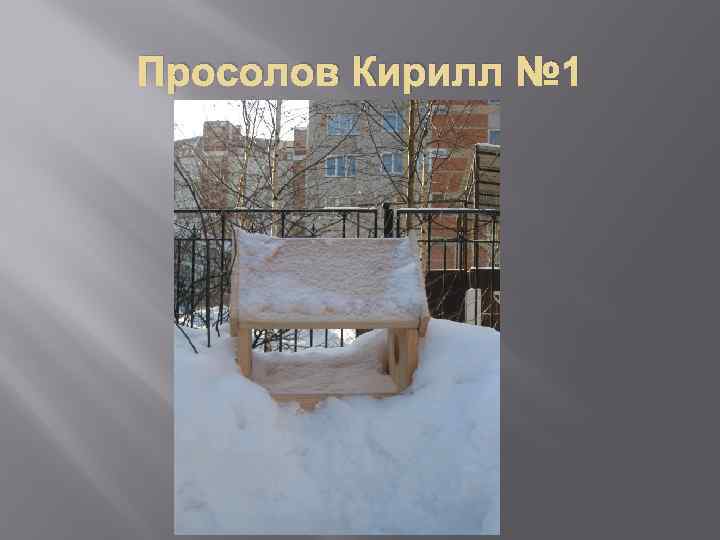 Просолов Кирилл № 1 