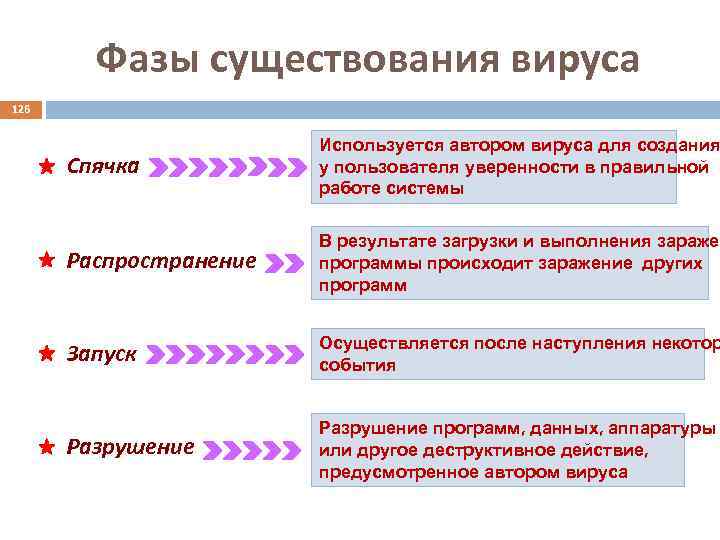 Фазы существования вируса 126 Спячка Используется автором вируса для создания у пользователя уверенности в