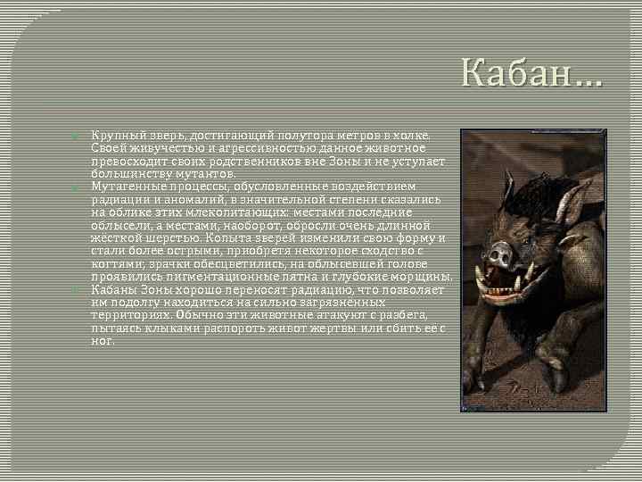 Кабан… Крупный зверь, достигающий полутора метров в холке. Своей живучестью и агрессивностью данное животное