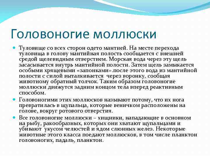 Головоногие моллюски Туловище со всех сторон одето мантией. На месте перехода туловища в голову