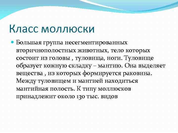 Класс моллюски Большая группа несегментированных вторичнополостных животных, тело которых состоит из головы , туловища,