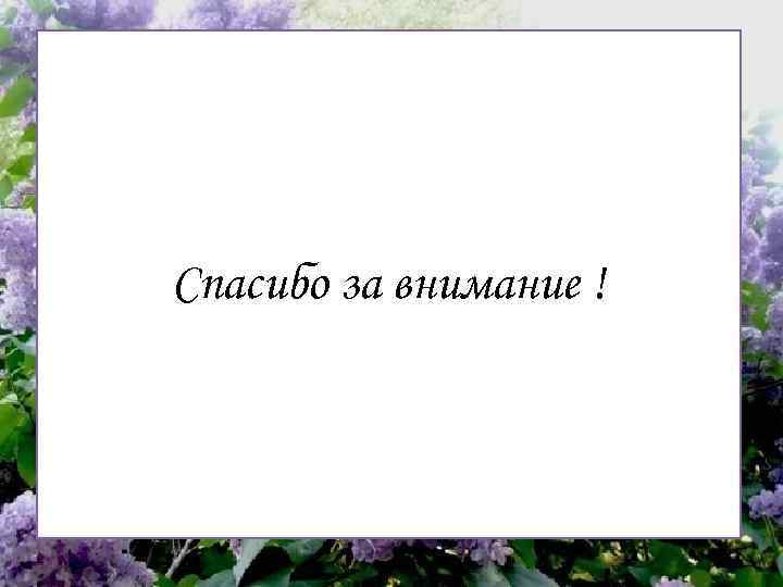 Спасибо за внимание ! 