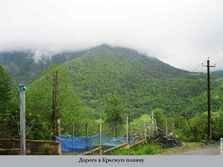 Дорога в Красную поляну 