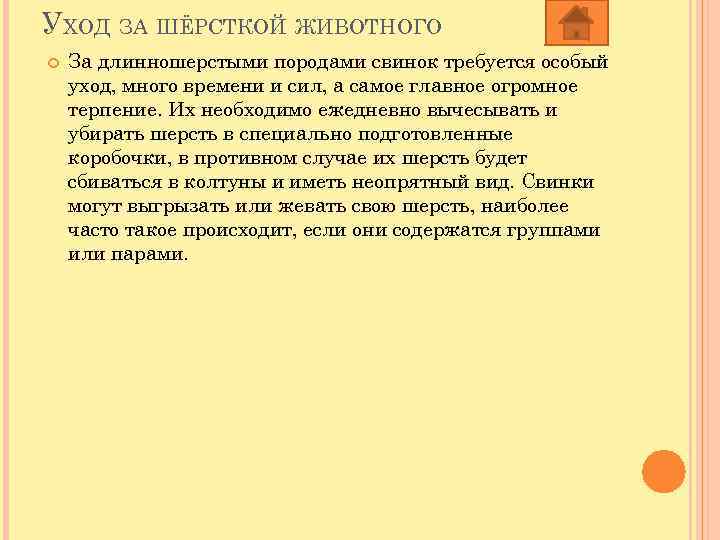 УХОД ЗА ШЁРСТКОЙ ЖИВОТНОГО За длинношерстыми породами свинок требуется особый уход, много времени и