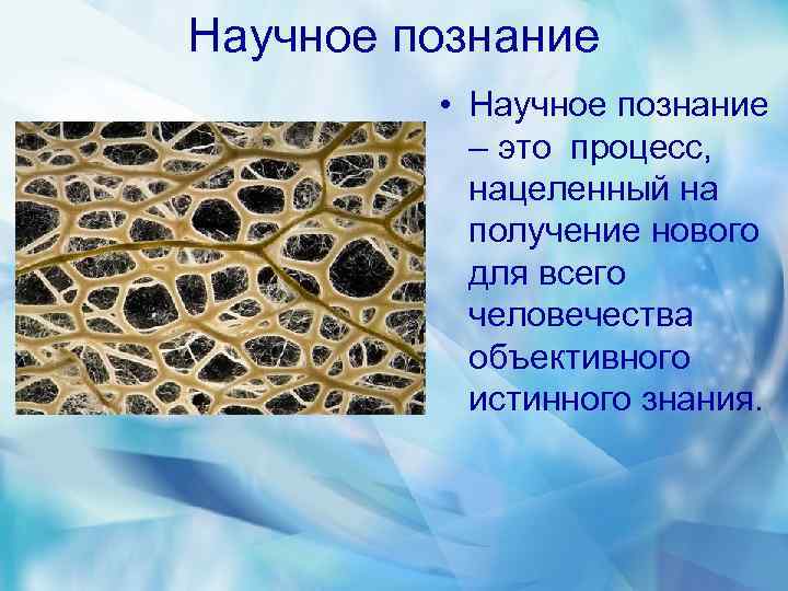 Научное познание • Научное познание – это процесс, нацеленный на получение нового для всего