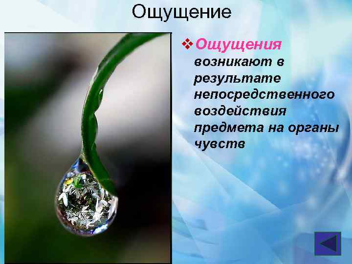 Ощущение v. Ощущения возникают в результате непосредственного воздействия предмета на органы чувств 