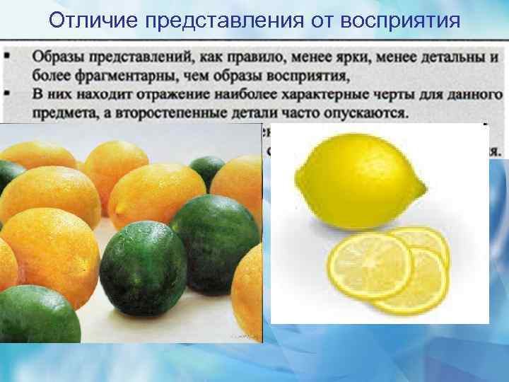 Отличие представления от восприятия 