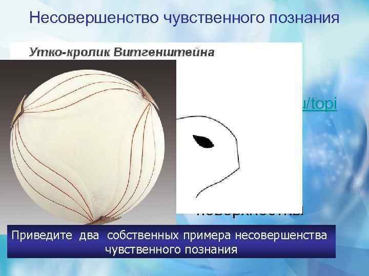 Несовершенство чувственного познания • Ощущения обманчивы http: //yarportal. ru/topi c 63458. html • Ощущения