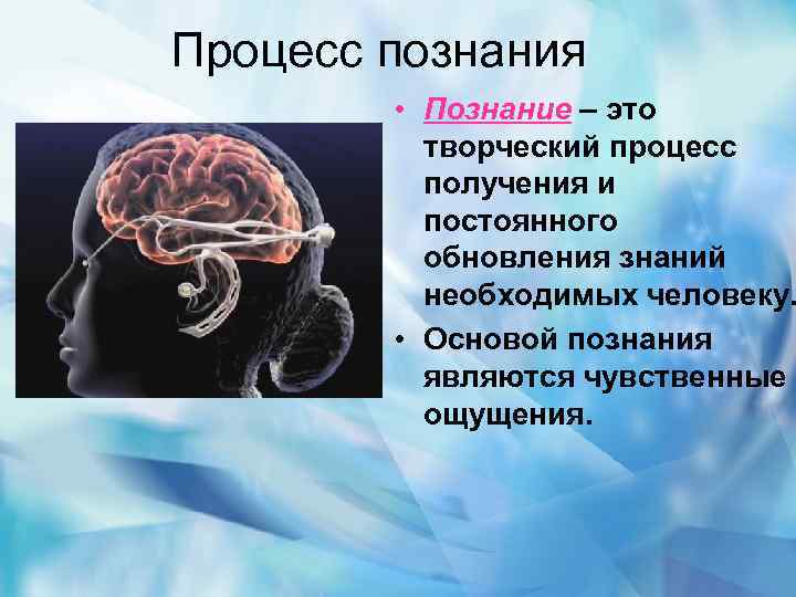 Значимость внимания в процессе познания презентация