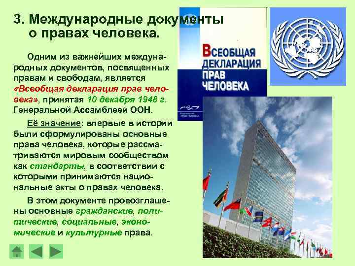 3. Международные документы о правах человека. Одним из важнейших международных документов, посвященных правам и