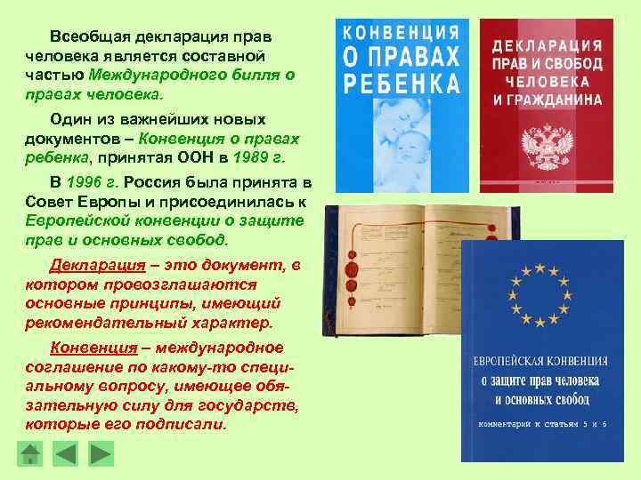 Всеобщая декларация прав человека является составной частью Международного билля о правах человека. Один из