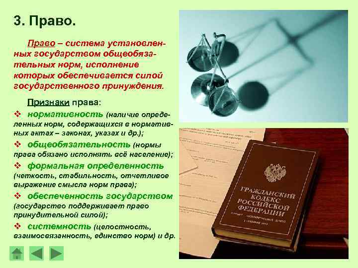 Право обеспечивается силой. Обеспечивается силой государственного принуждения. Система норм устанавливаемых и контролируемых государством. Нормы права контролируются государством. Законы охраняются принудительной силой государства.