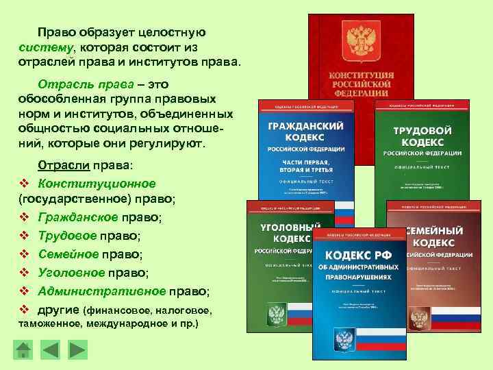 Право образует целостную систему, которая состоит из отраслей права и институтов права. Отрасль права