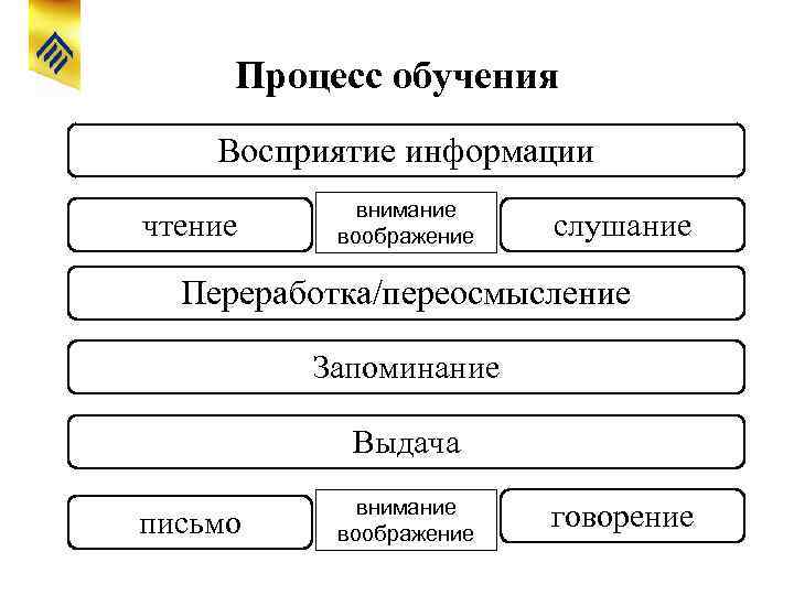 Схема восприятия информации