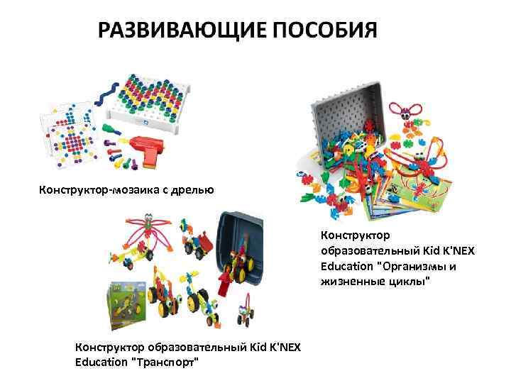 Конструктор-мозаика с дрелью Конструктор образовательный Kid K'NEX Education "Организмы и жизненные циклы" Конструктор образовательный