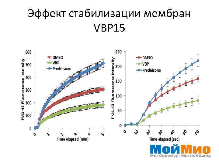 Эффект стабилизации мембран VBP 15 