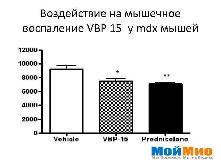 Воздействие на мышечное воспаление VBP 15 у mdx мышей 
