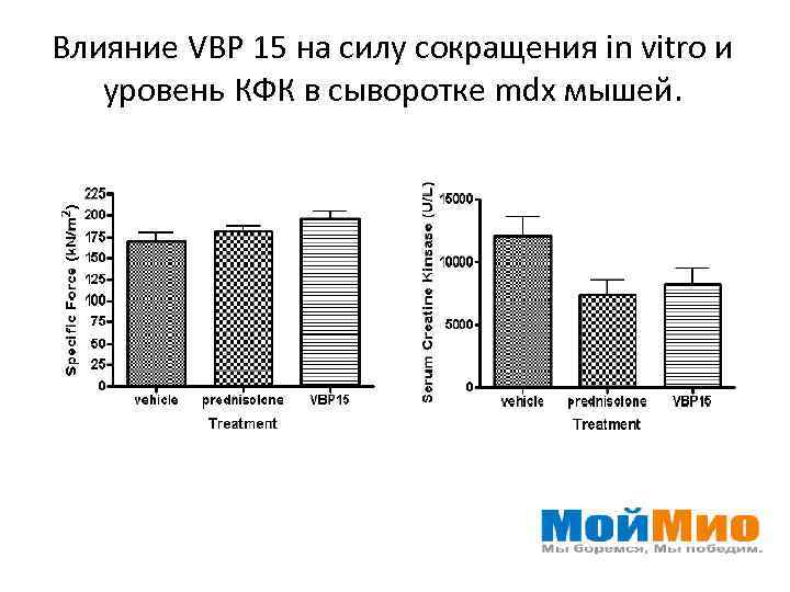Влияние VBP 15 на силу сокращения in vitro и уровень КФК в сыворотке mdx