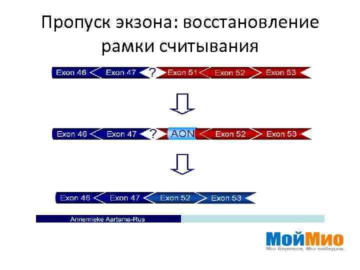 Открытая рамка считывания это. Рамка считывания. Открытая рамка считывания. Что такое открытая рамка считывания Гена. Открытые и закрытые рамки считывания.