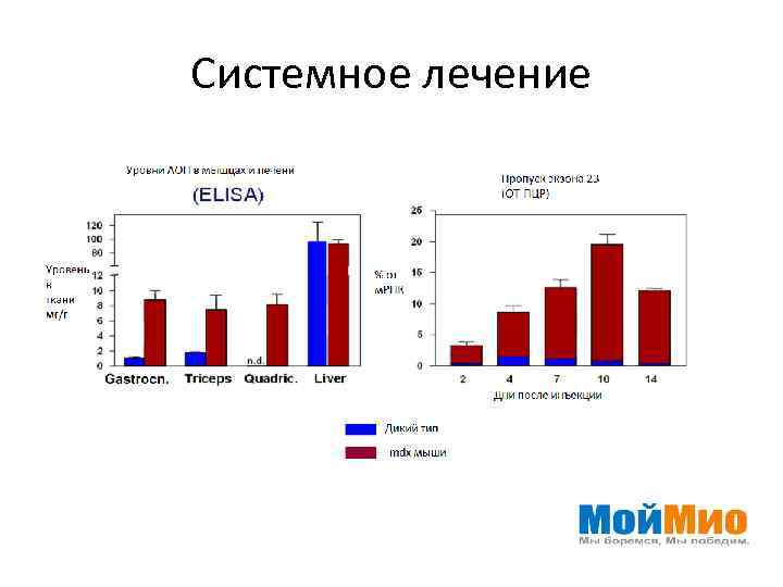 Системное лечение 