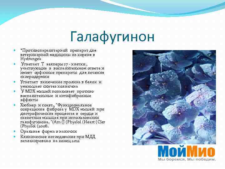 Галафугинон *Противопаразитарной препарат для ветеринарной медицины из кореня в Hydrangea Угнетает T хелперы 17