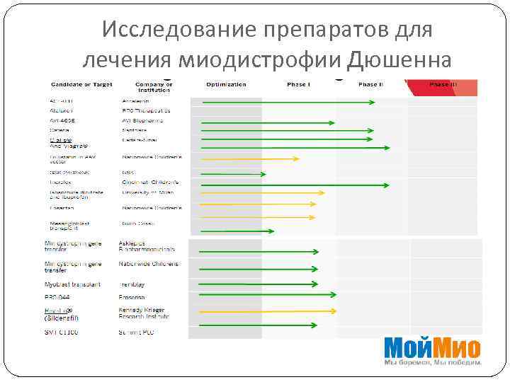 Исследование препаратов для лечения миодистрофии Дюшенна 