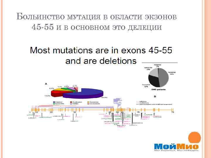 БОЛЬИНСТВО МУТАЦИЯ В ОБЛАСТИ ЭКЗОНОВ 45 -55 И В ОСНОВНОМ ЭТО ДЕЛЕЦИИ 