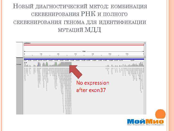 НОВЫЙ ДИАГНОСТИЧЕСКИЙ МЕТОД: КОМБИНАЦИЯ СЕКВЕНИРОВАНИЯ РНК И ПОЛНОГО СЕКВЕНИРОВАНИЯ ГЕНОМА ДЛЯ ИДЕНТИФИКАЦИИ МУТАЦИЙ МДД