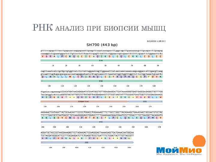 РНК АНАЛИЗ ПРИ БИОПСИИ МЫШЦ 