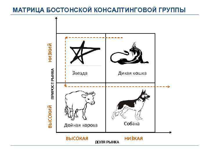 Презентация матрица бкг