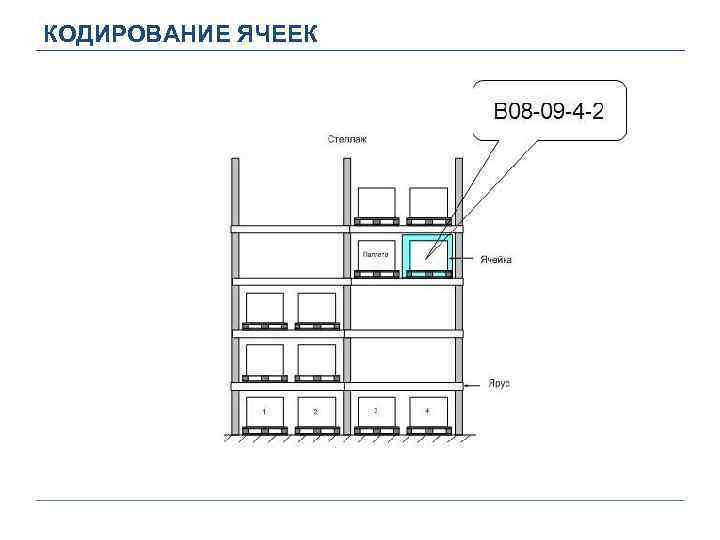 КОДИРОВАНИЕ ЯЧЕЕК 