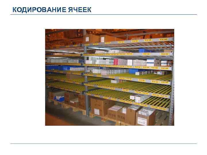 КОДИРОВАНИЕ ЯЧЕЕК 