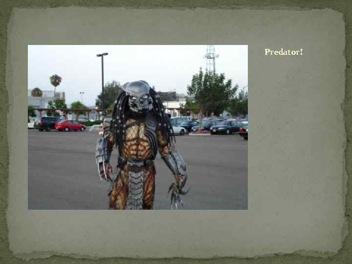 Predator! 