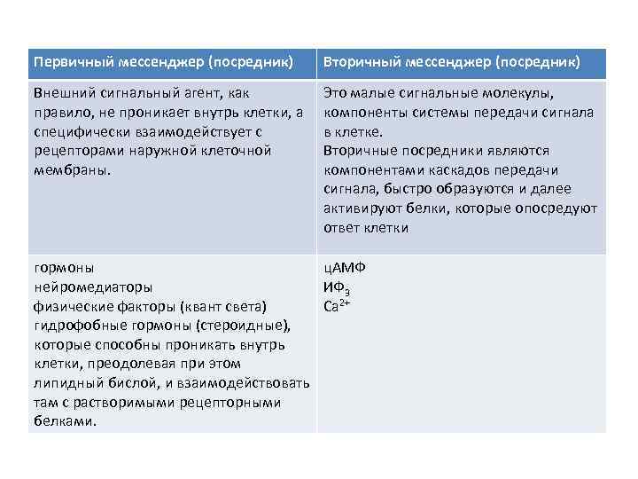 Первичный мессенджер (посредник) Вторичный мессенджер (посредник) Внешний сигнальный агент, как правило, не проникает внутрь