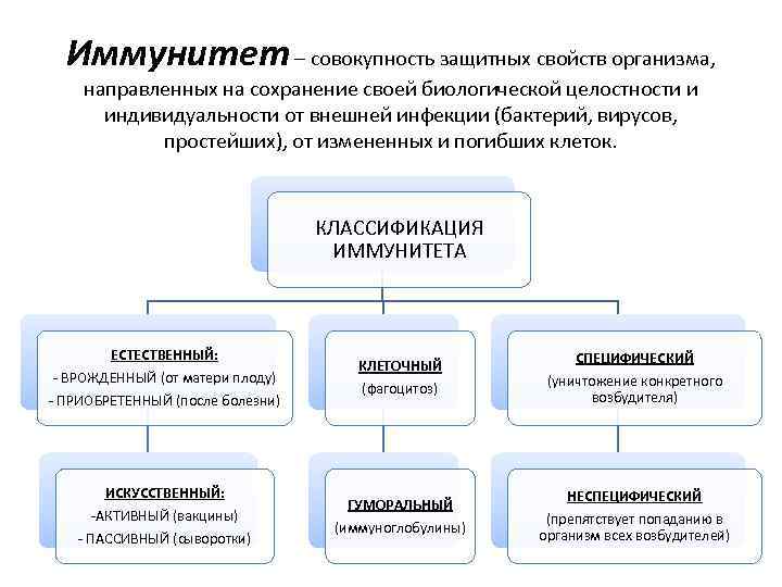 Эволюция иммунитета презентация