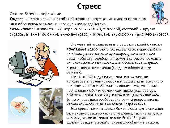 Презентация 7 класс спотлайт stress free