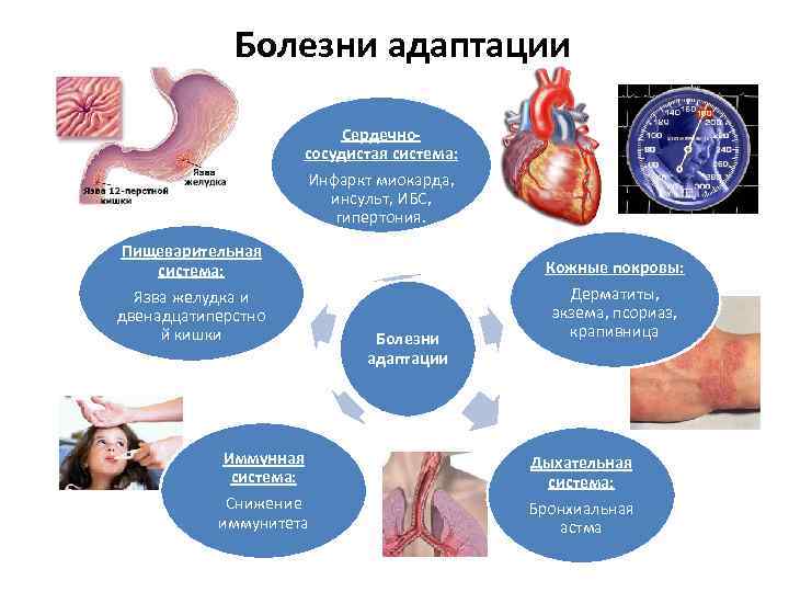 Болезни пищеварительной системы картинки