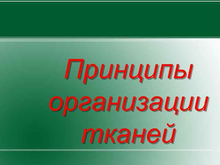 Принципы организации тканей 