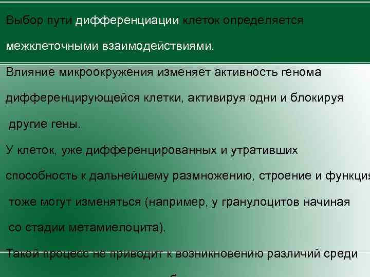 Выбор пути дифференциации клеток определяется межклеточными взаимодействиями. Влияние микроокружения изменяет активность генома дифференцирующейся клетки,